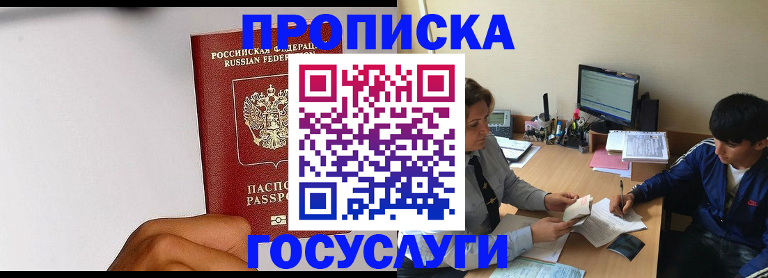 временная регистрация госуслуги в Никольском