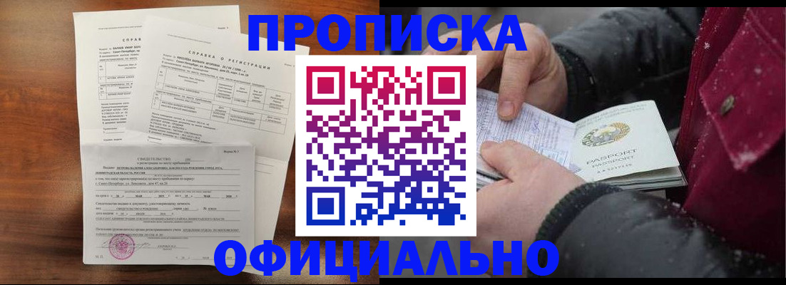 временная регистрация для школы в Никольском